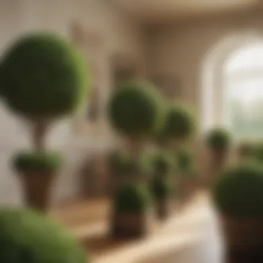 Variety of artificial topiary balls arranged in a stylish indoor setting