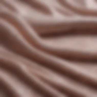 Detailed close-up of sheer fabric textures